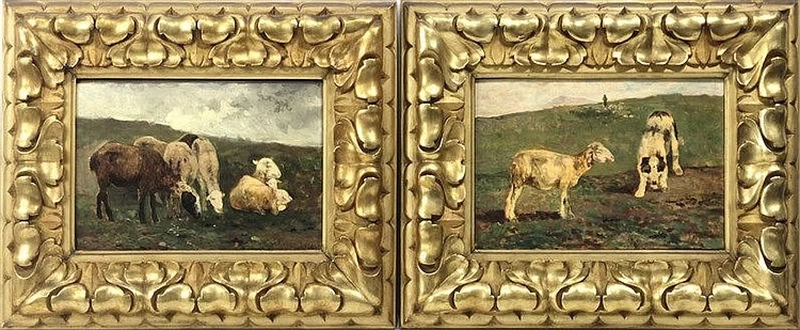 Pecore e cani